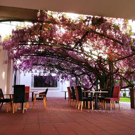 Vina Femita Hostel Villafranca Del Bierzo Ngoại thất bức ảnh